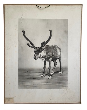 photoroom_001_20250607_135116